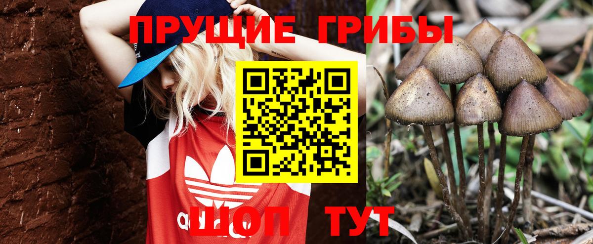 Галлюциногенные грибы Cubensis  Вход с VPN  Люберцы 