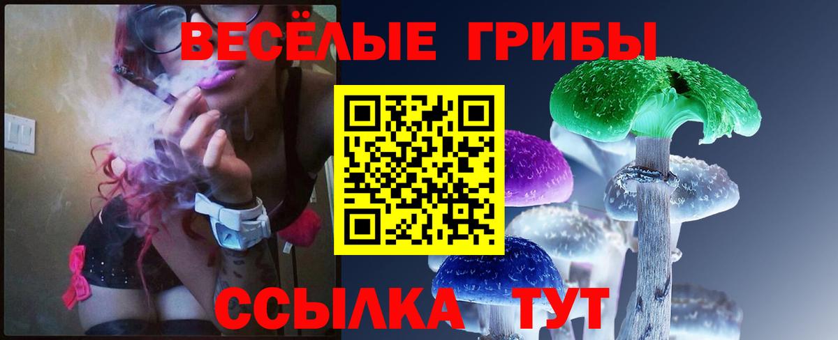 Псилоцибиновые грибы Magic Shrooms Люберцы